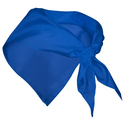 20790-17585-1.webp