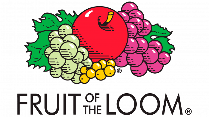 Producent: FRUIT OF THE LOOM (przejdź do produktów)